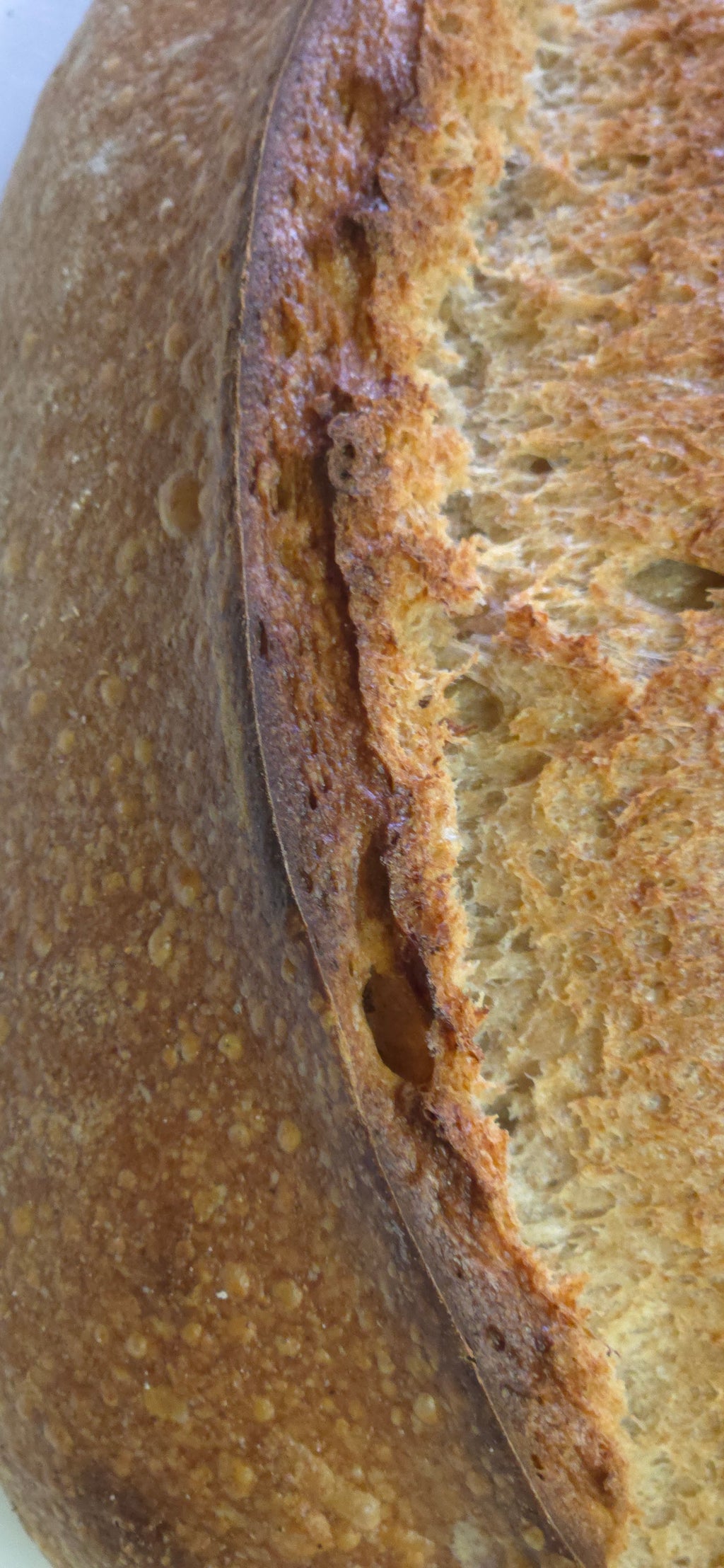 Country Farmhouse Sourdough