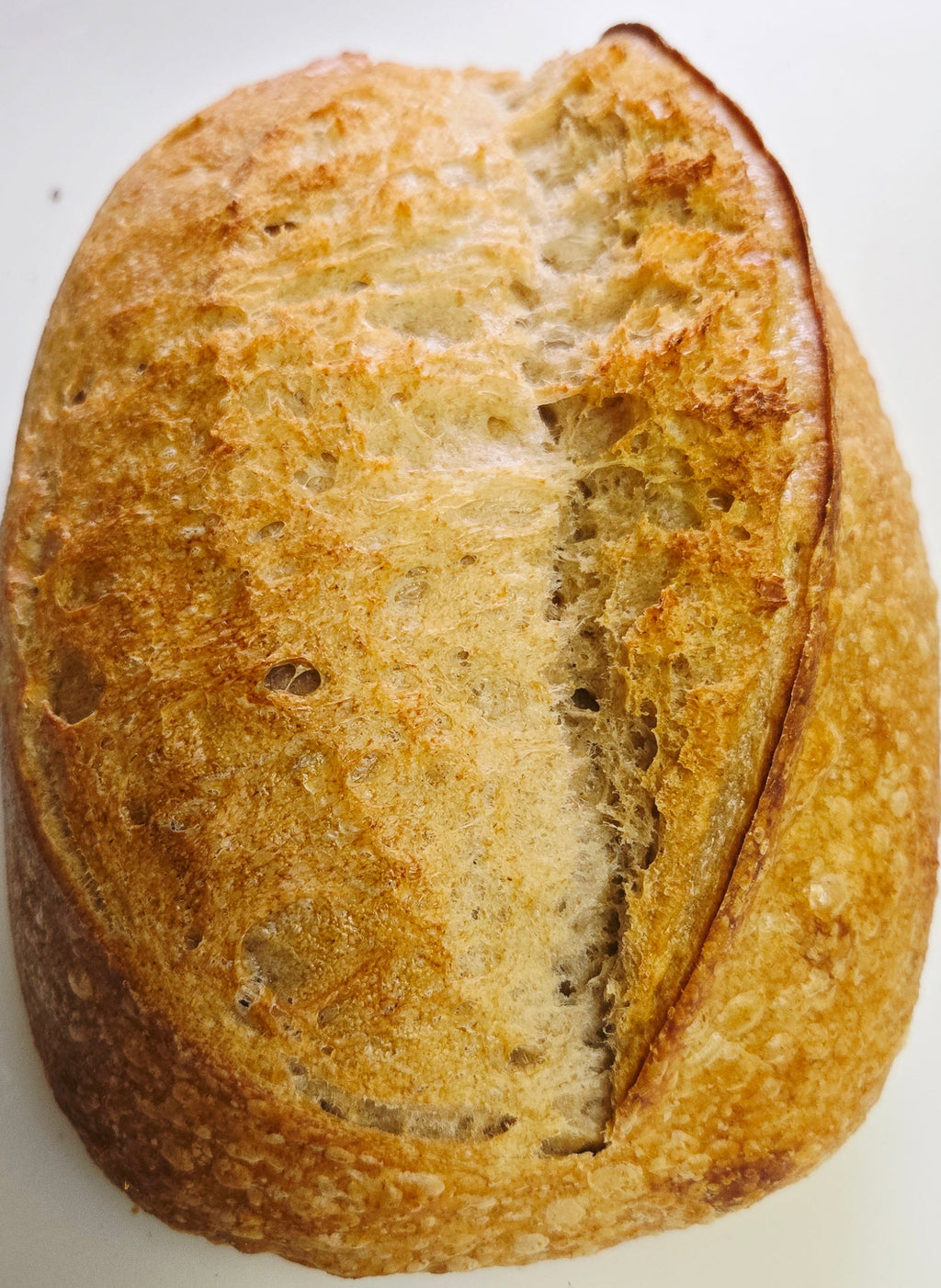 Alaskan Sourdough