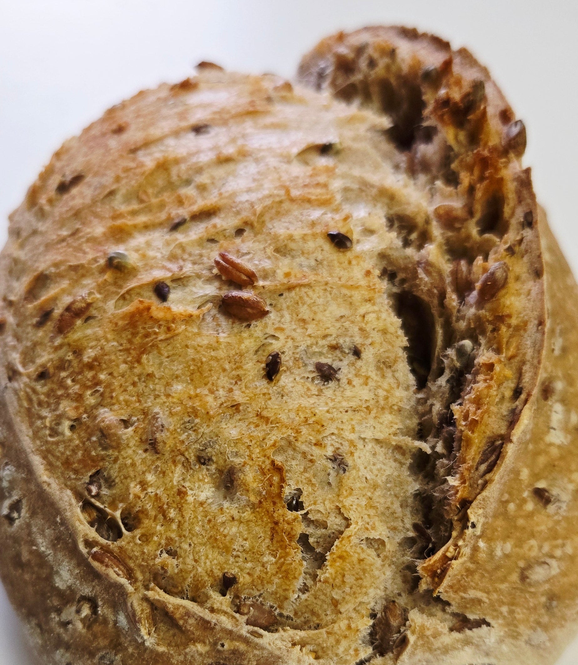 Double Fermented Treehugger Sourdough – One Love Bread