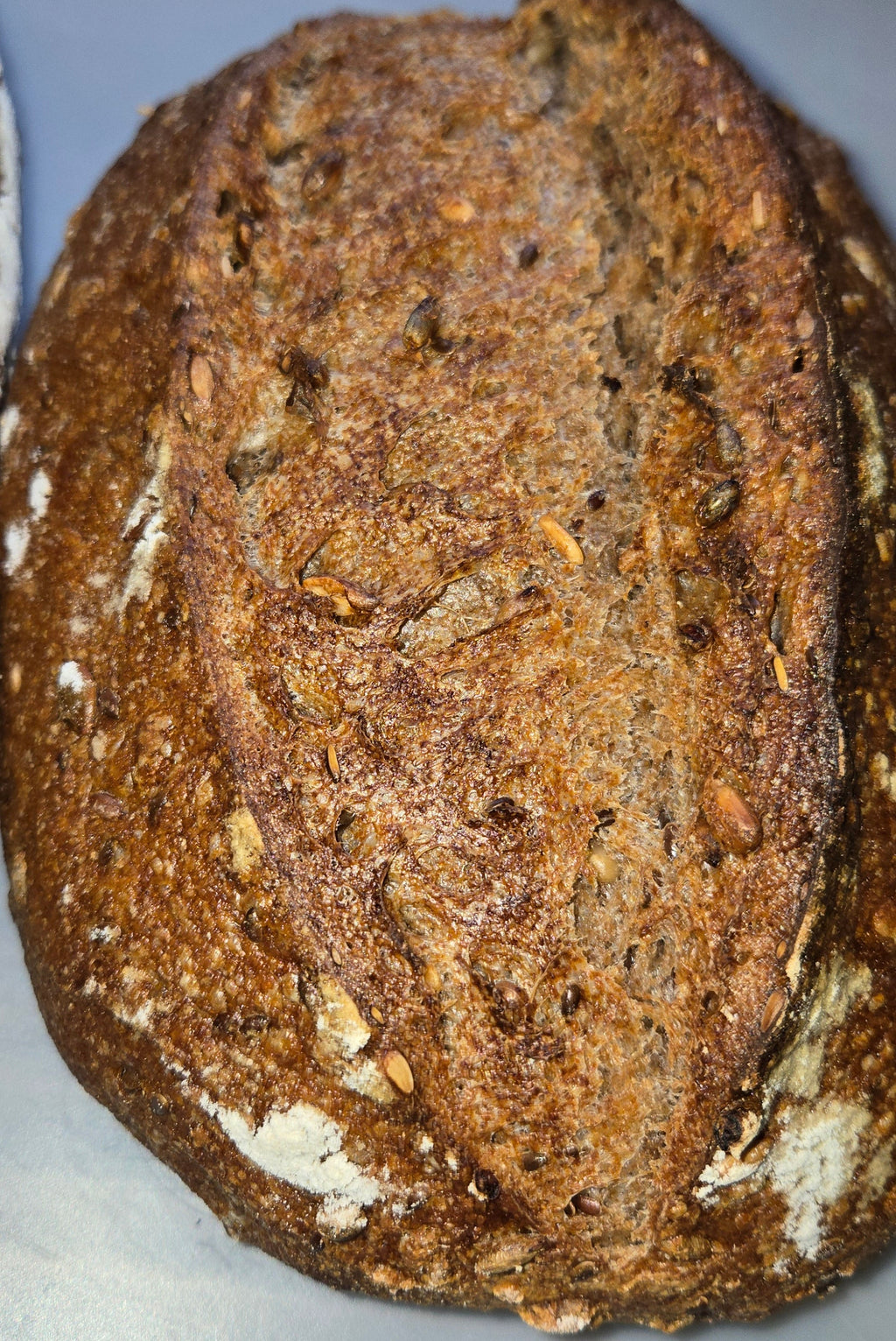 Double Fermented Sprouted  Rye Sourdough