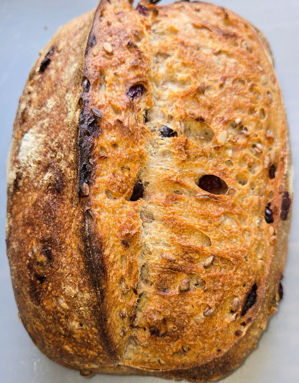 Double Fermented Cranberry & Sunflower W/ Rye Sprouts Sourdough