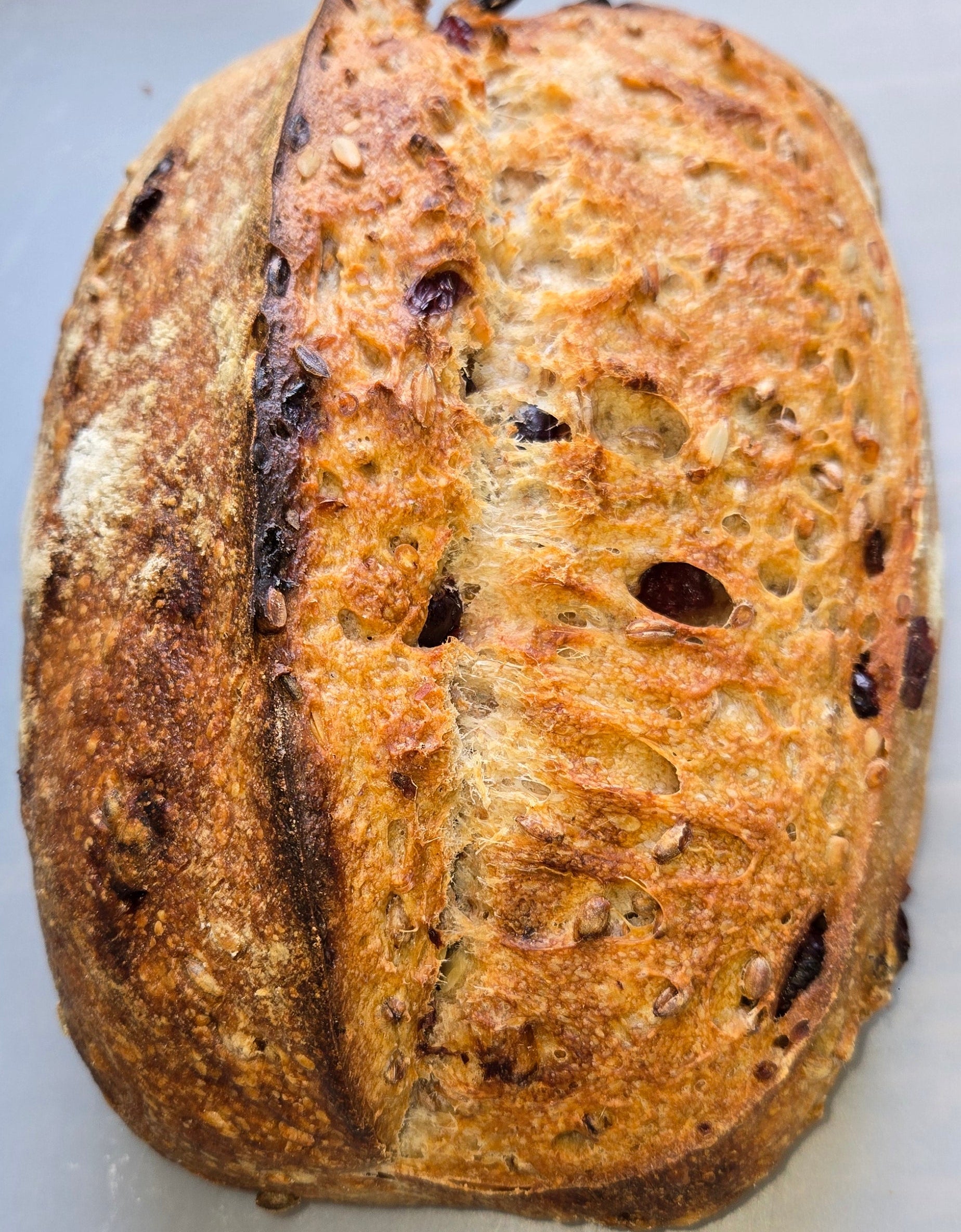 Double Fermented Cranberry & Sunflower W/ Rye Sprouts Sourdough